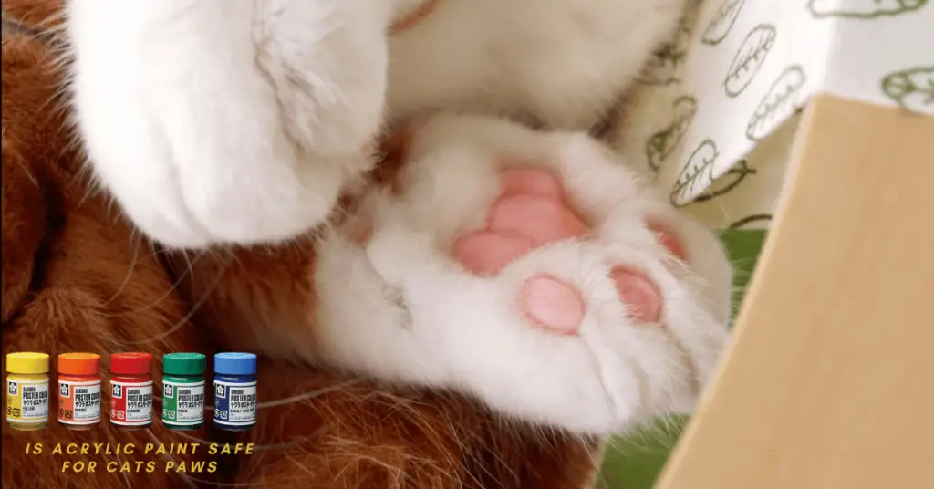 Is Acrylic Paint Safe For Cats Paws