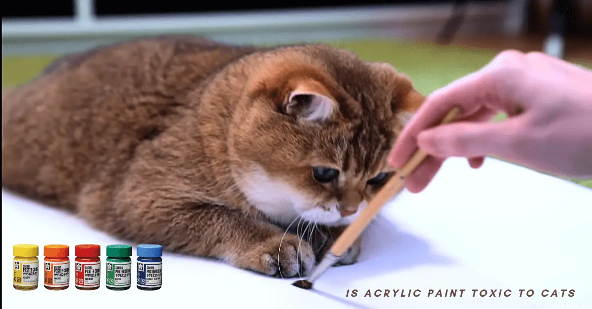 Is Acrylic Paint Toxic To Cats