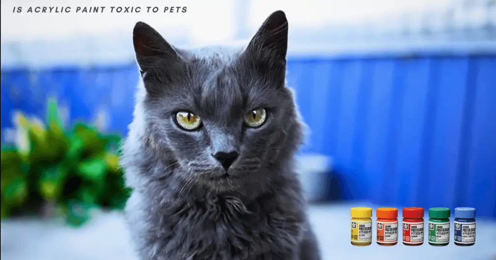 Is Acrylic Paint Toxic to Pets