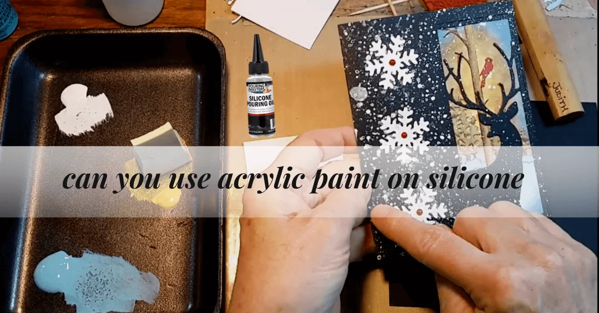 can you use acrylic paint on silicone